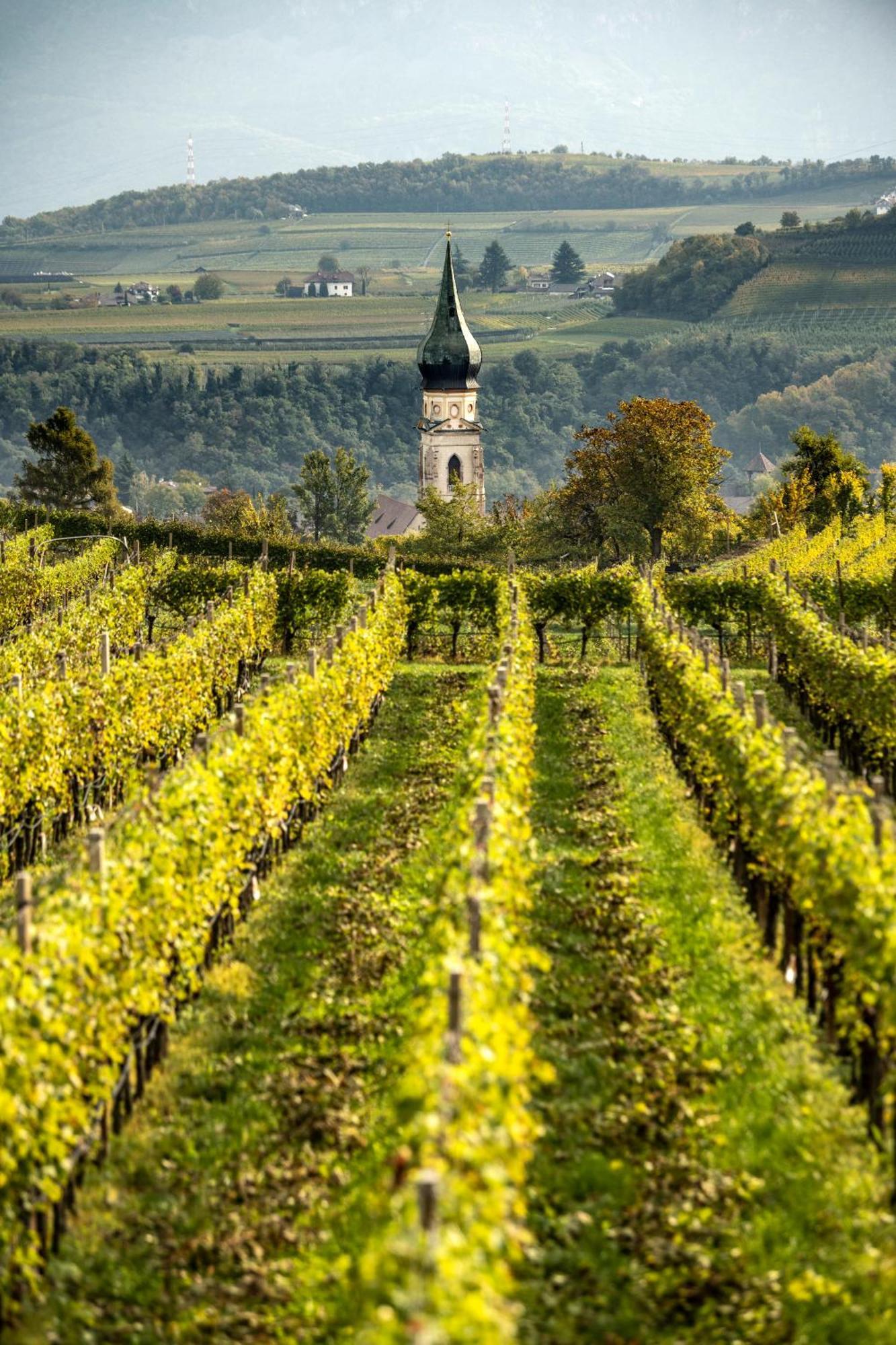 Belia Lofts - Adults Only - Apartments Appiano Sulla Strada Del Vino Zewnętrze zdjęcie