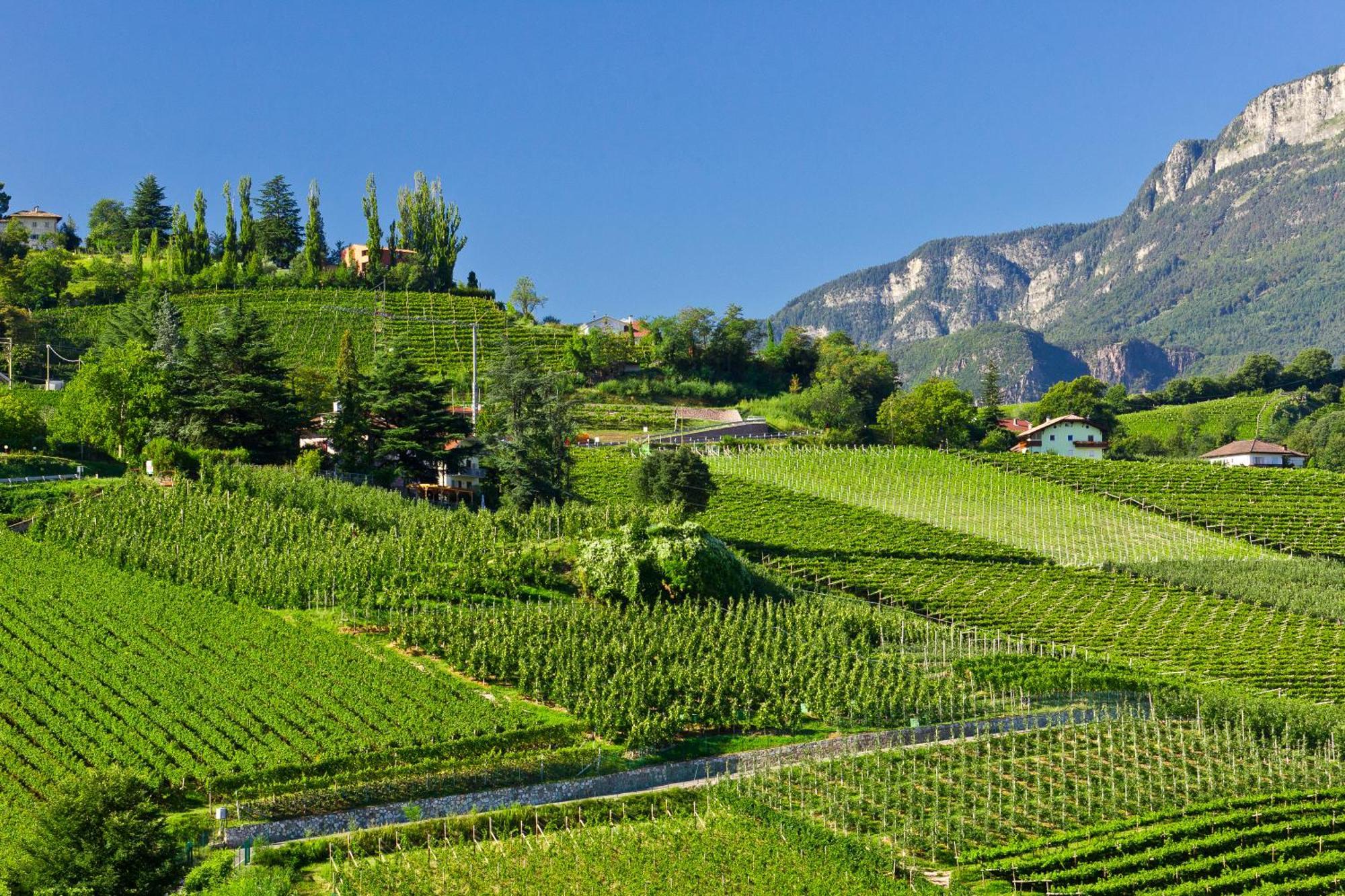 Belia Lofts - Adults Only - Apartments Appiano Sulla Strada Del Vino Zewnętrze zdjęcie