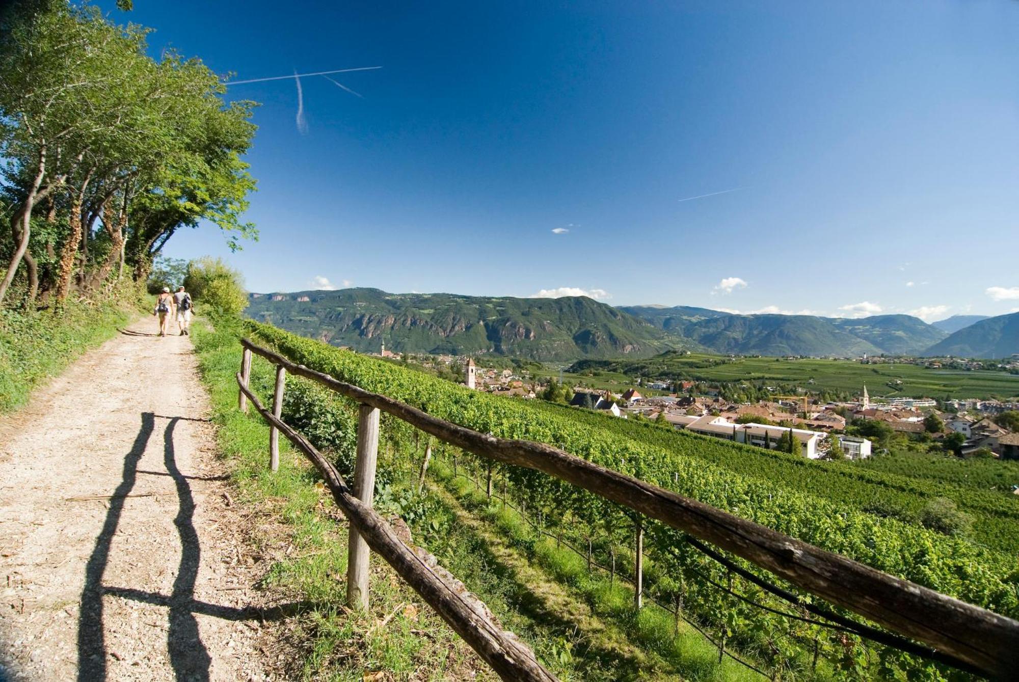 Belia Lofts - Adults Only - Apartments Appiano Sulla Strada Del Vino Zewnętrze zdjęcie